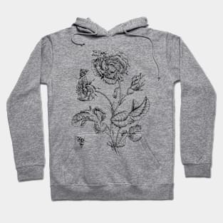 Rose Flower & Insects Antique Illustration Hoodie